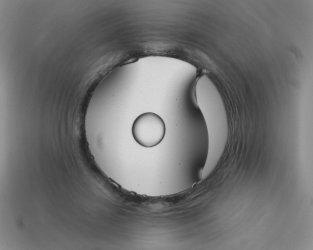 X0000113590452200910091503