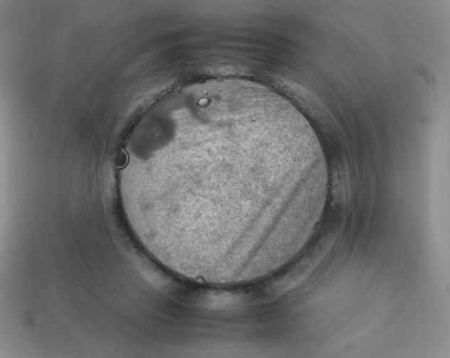 X0000113590453200910091503