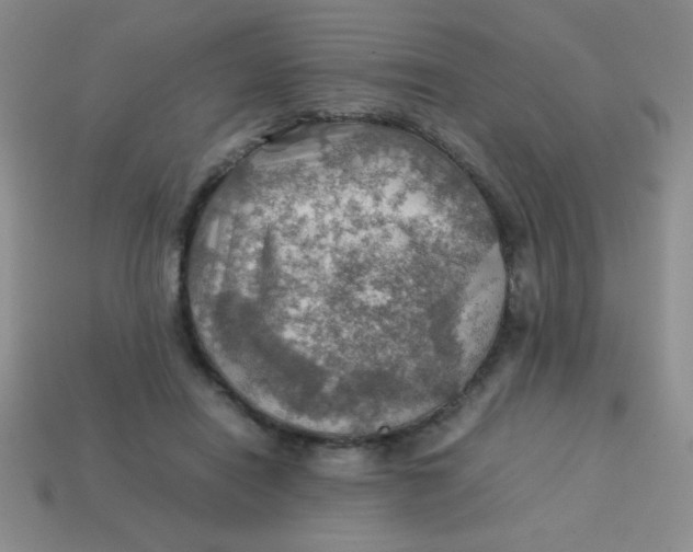 X0000113590454200910091503