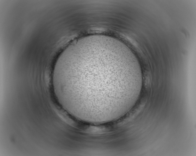 X0000113590455200910091503