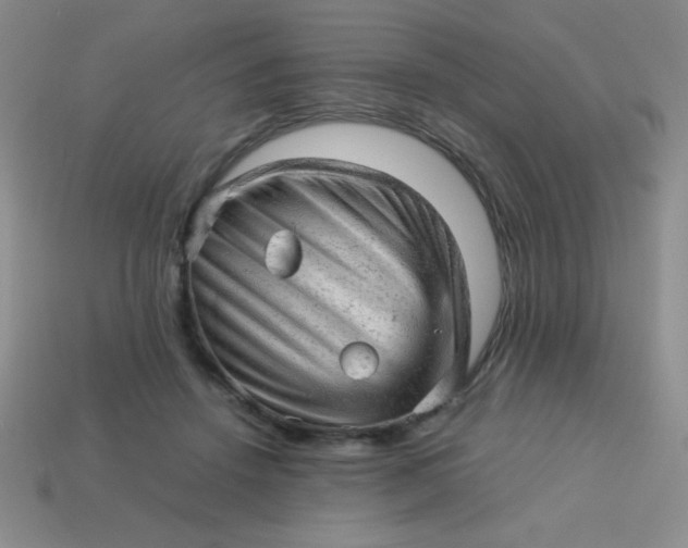 X0000113590456200910091503