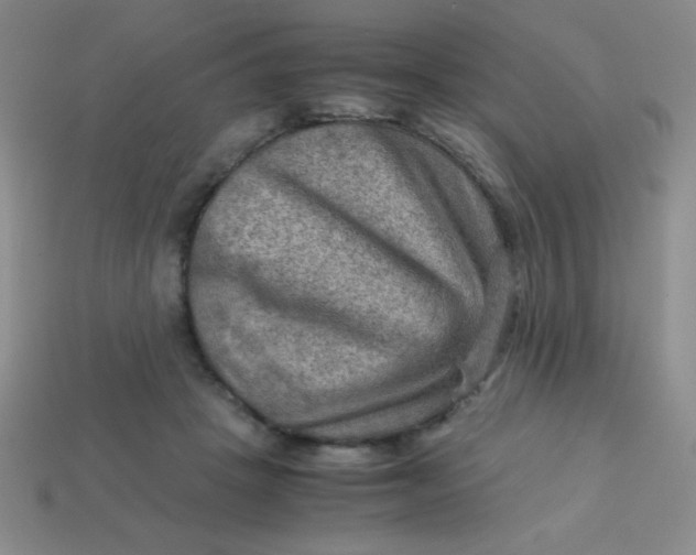 X0000113590457200910091503