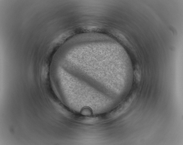 X0000113590458200910091503