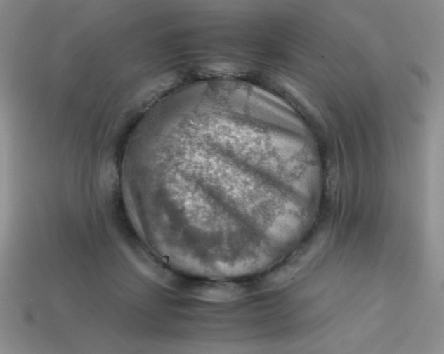 X0000113590459200910091503