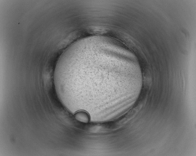 X0000113590460200910091503