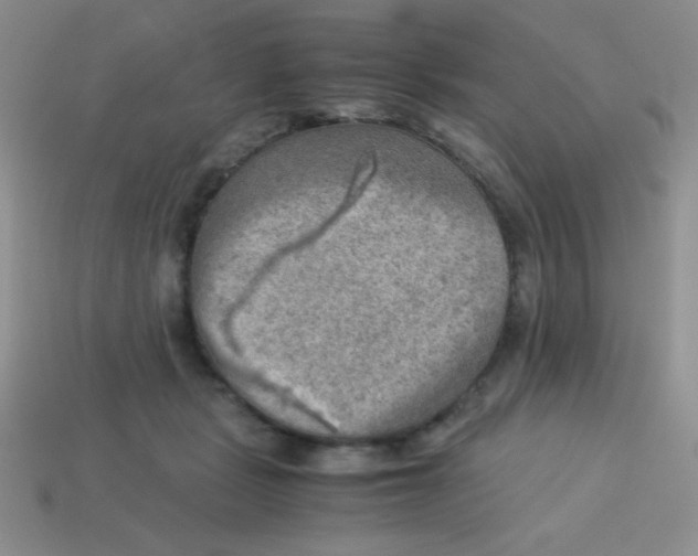 X0000113590461200910091503