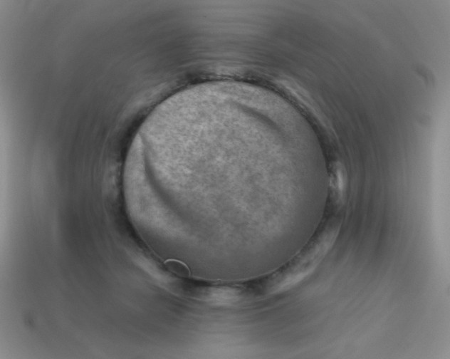 X0000113590462200910091503