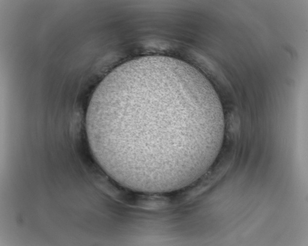 X0000113590463200910091503