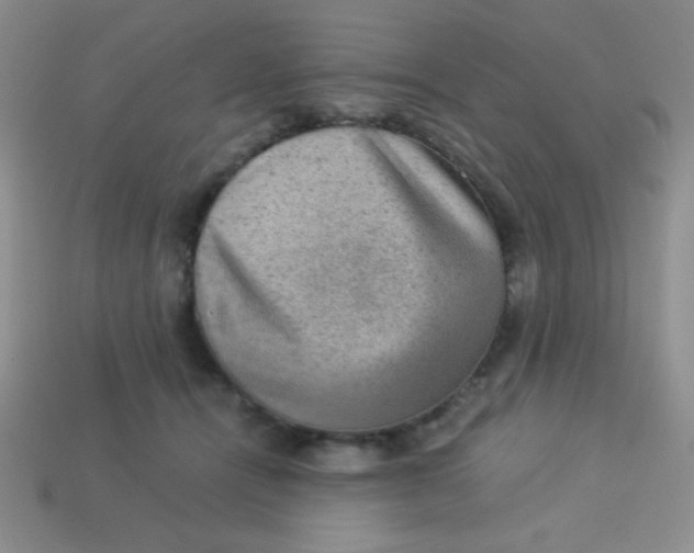 X0000113590464200910091503