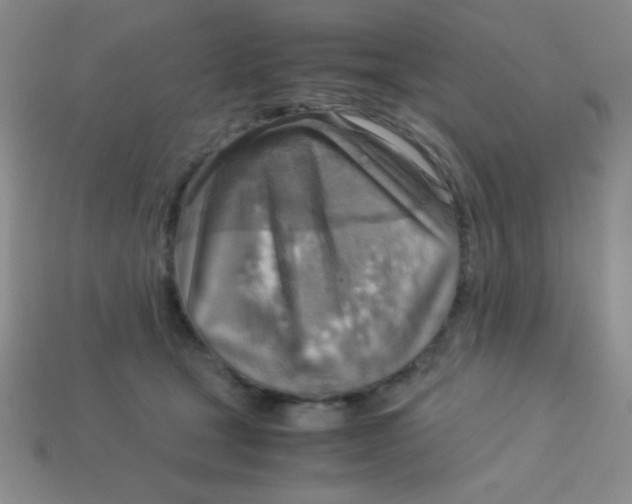 X0000113590465200910091503