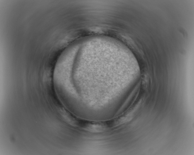 X0000113590466200910091503