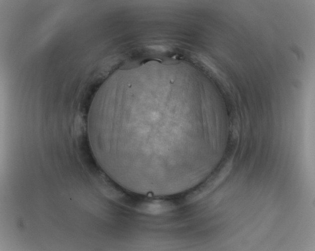 X0000113590467200910091503