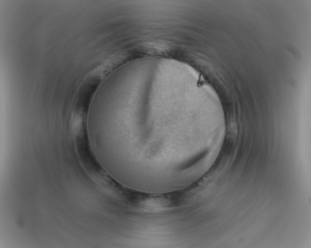 X0000113590468200910091503