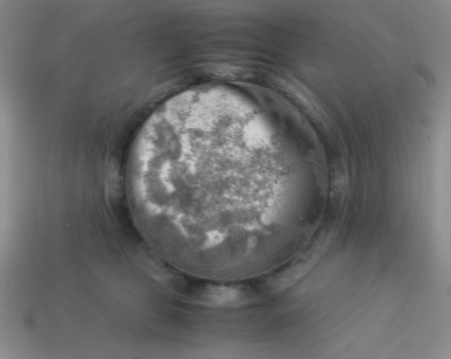 X0000113590469200910091503