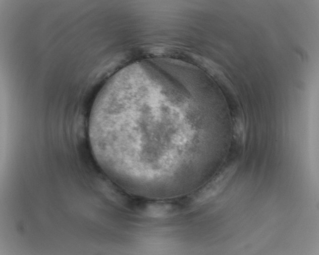 X0000113590470200910091503