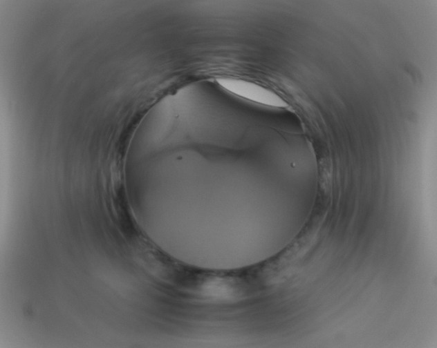 X0000113590471200910091503