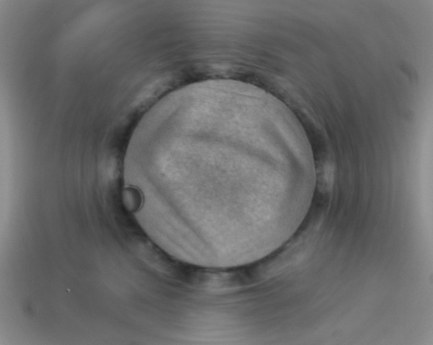 X0000113590472200910091503