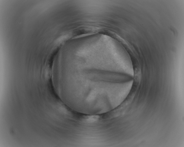 X0000113590474200910091503