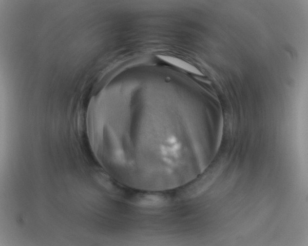 X0000113590475200910091503