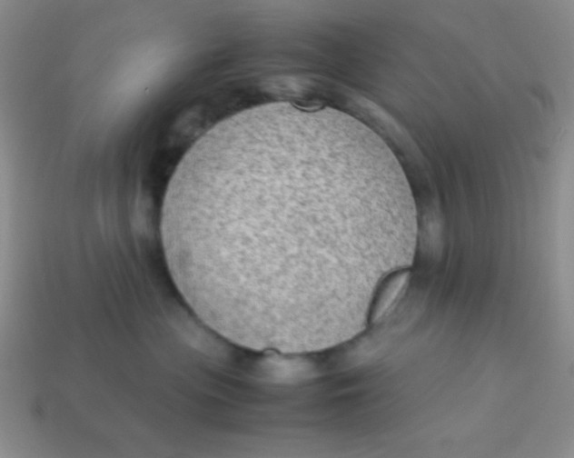 X0000113590477200910091503