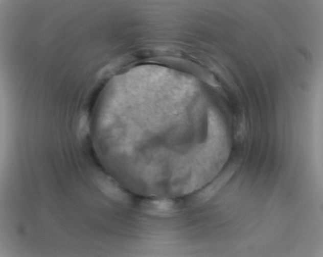 X0000113590478200910091503