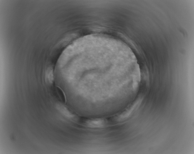 X0000113590479200910091503