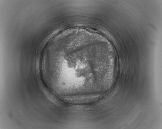 X0000113590482200910091503