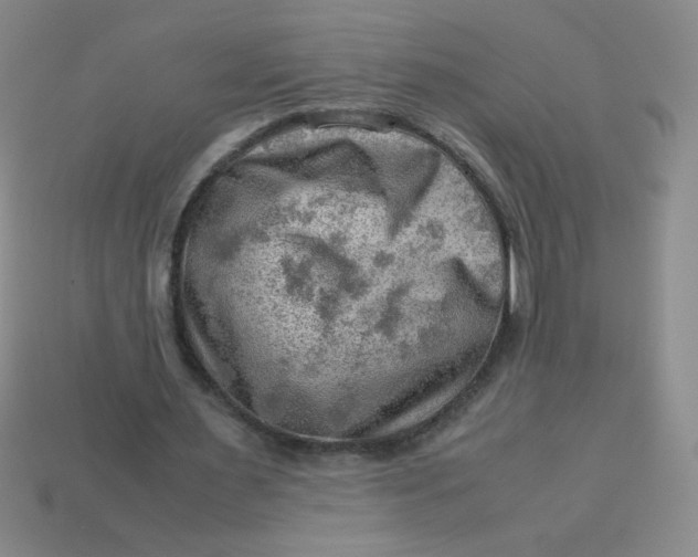 X0000113590483200910091503