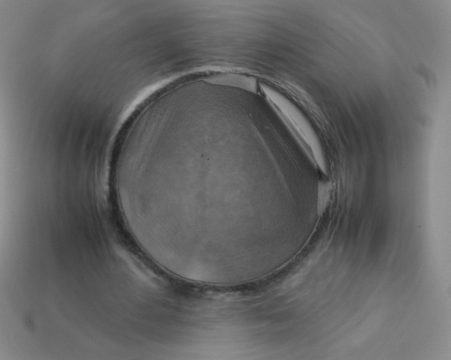 X0000113590484200910091503