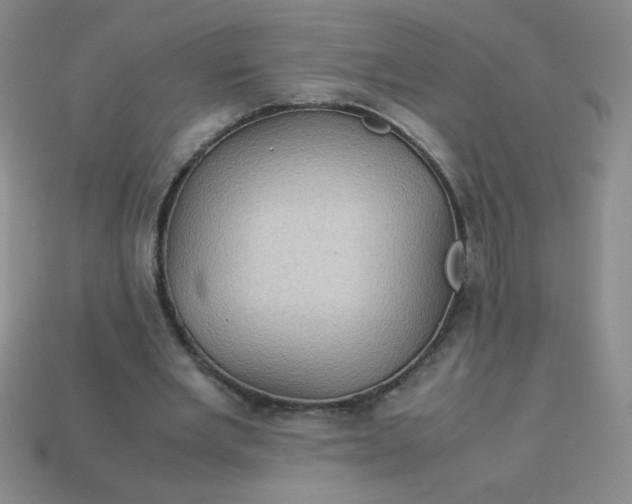 X0000113590485200910091503