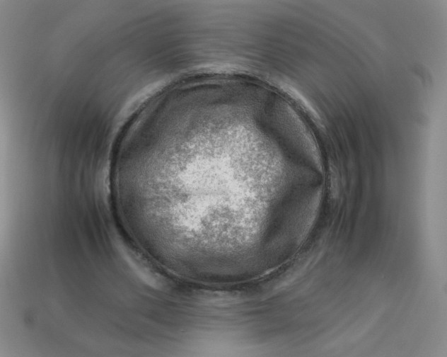 X0000113590486200910091503