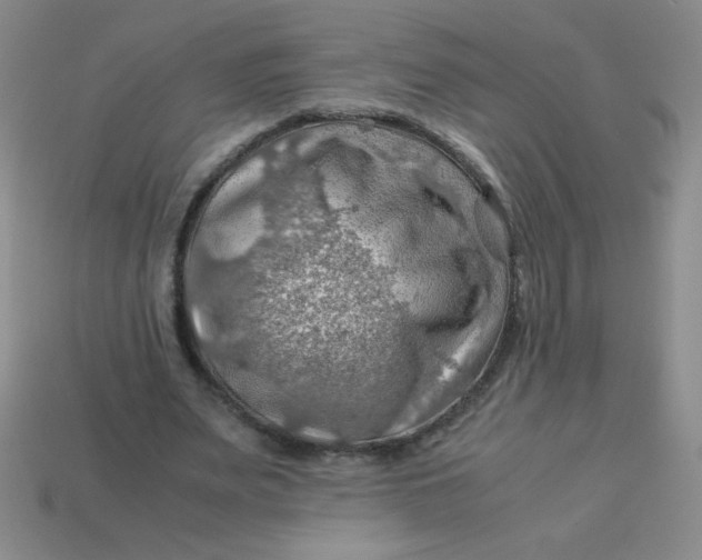 X0000113590487200910091503