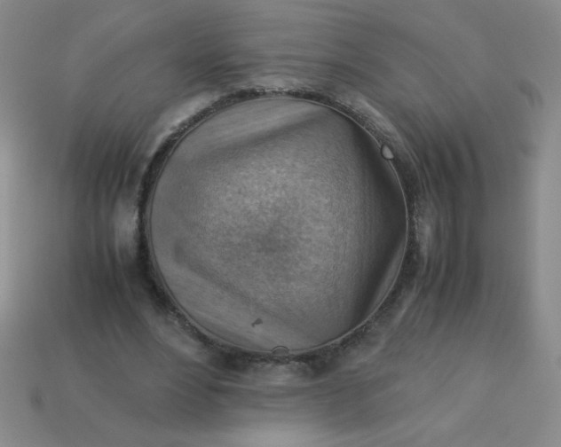 X0000113590488200910091503