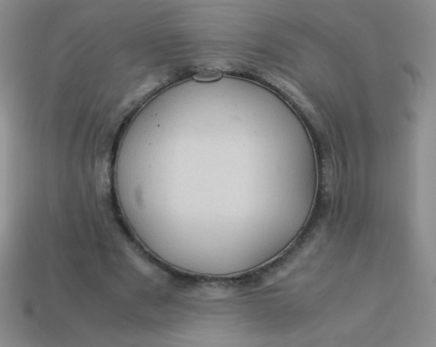 X0000113590489200910091503