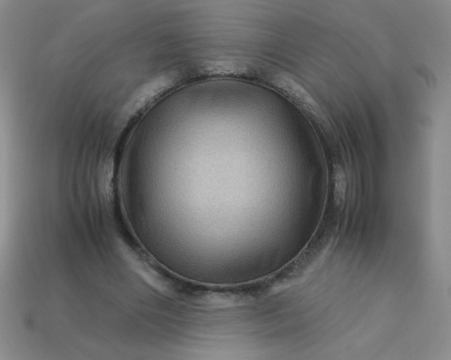 X0000113590490200910091503