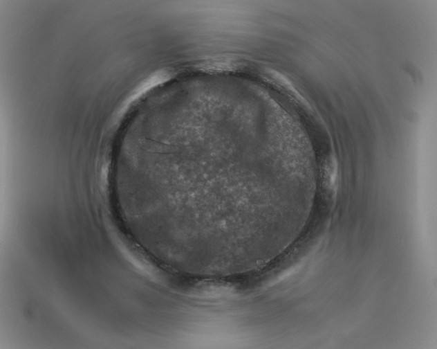 X0000113590491200910091502