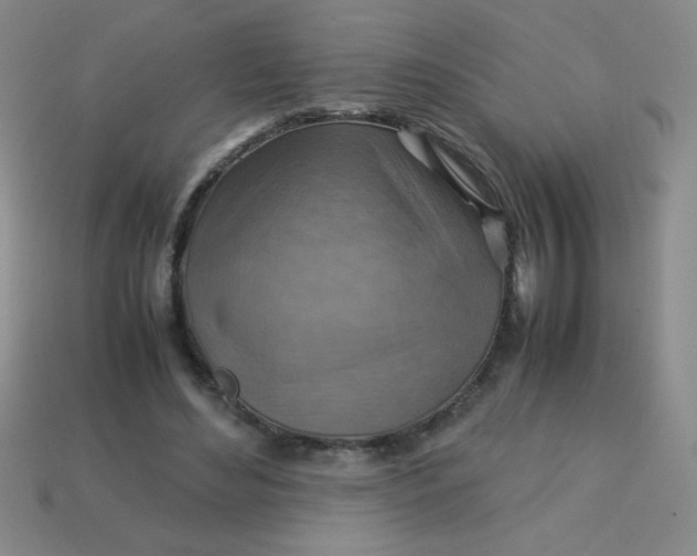 X0000113590492200910091502