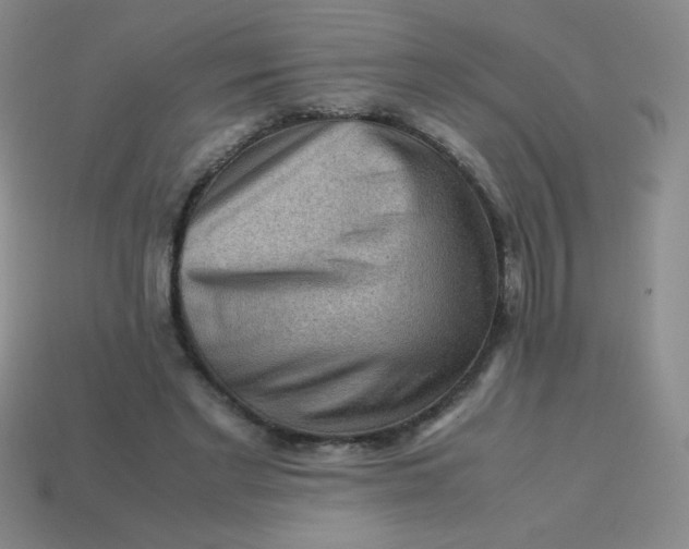 X0000113590493200910091502