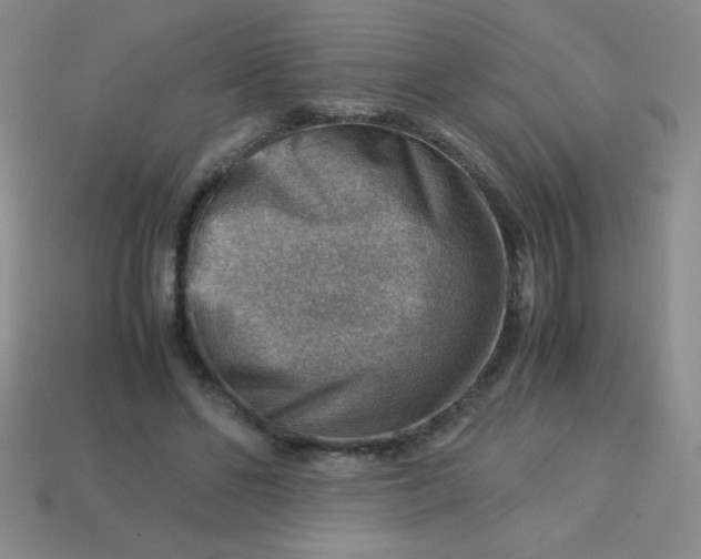 X0000113590494200910091502