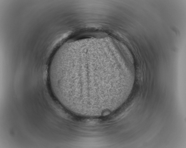 X0000113590495200910091502