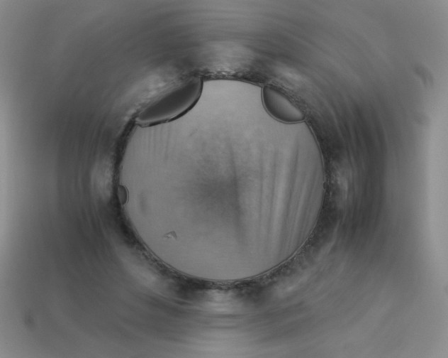 X0000113590496200910091502