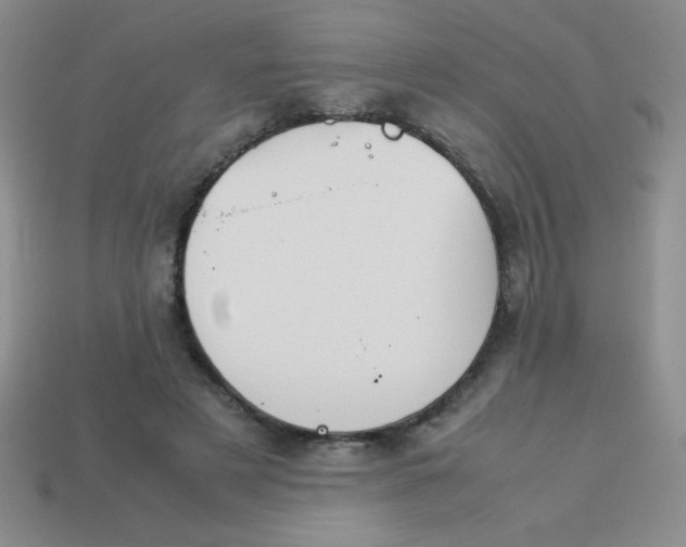 X0000113590497200910091502