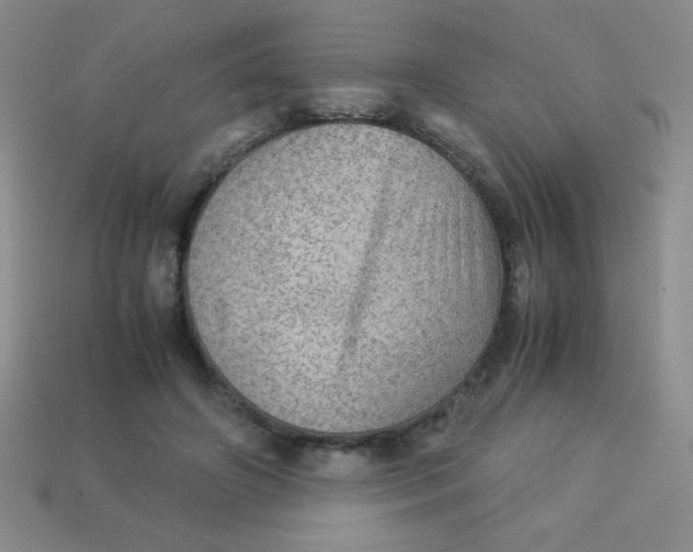 X0000113590498200910091502