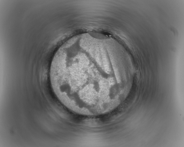 X0000113590499200910091502