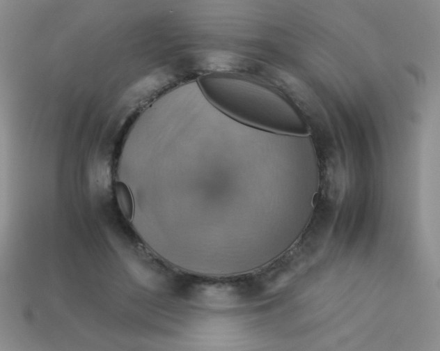 X0000113590500200910091502