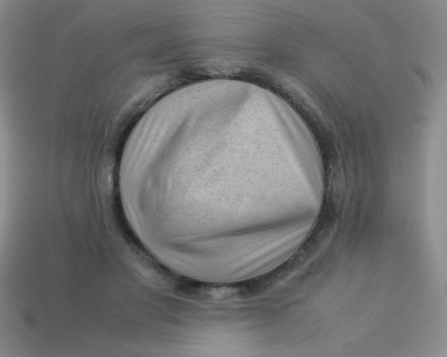 X0000113590501200910091502