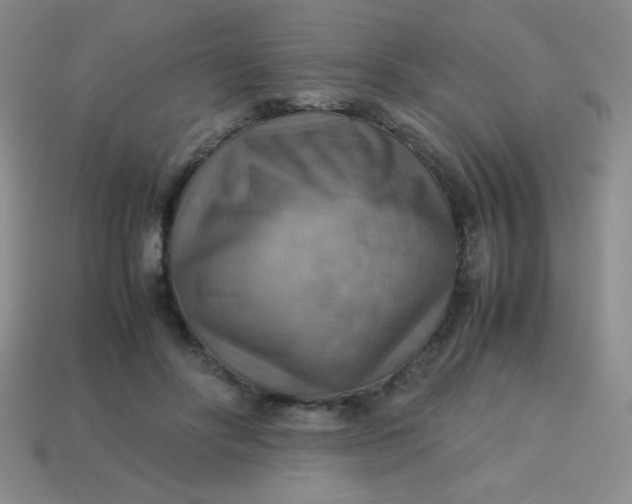 X0000113590502200910091502