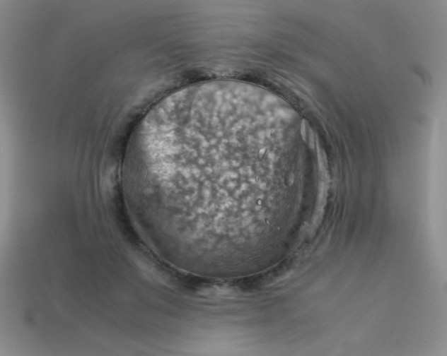 X0000113590503200910091502