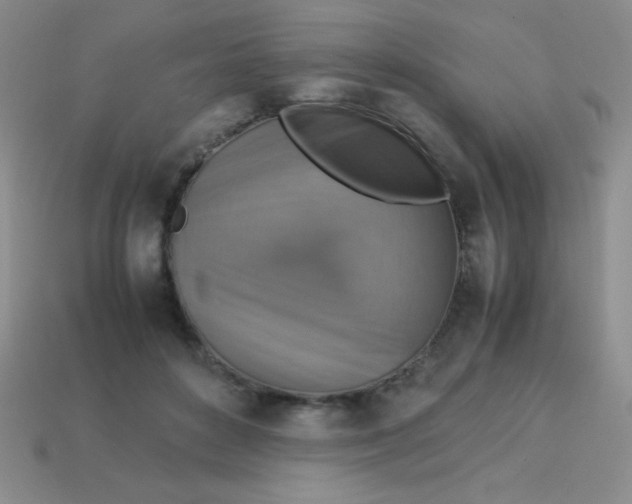 X0000113590504200910091502