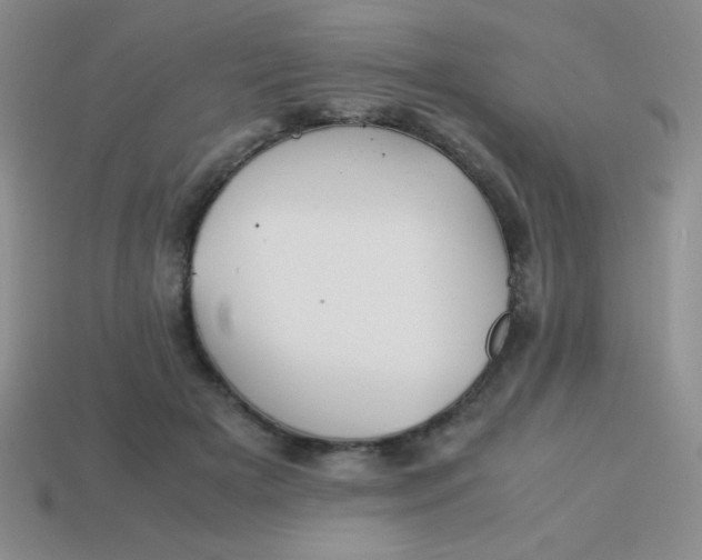 X0000113590505200910091502